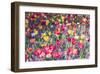 Kuekenhof Tulips II-Richard Silver-Framed Art Print