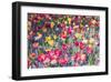 Kuekenhof Tulips II-Richard Silver-Framed Premium Giclee Print