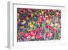 Kuekenhof Tulips II-Richard Silver-Framed Premium Giclee Print