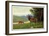 Künstler C. L. Freitag, Hirsch, Rehkitz Und Hirsch Am Waldrand-null-Framed Giclee Print