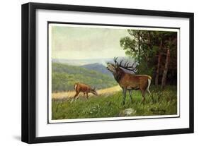 Künstler C. L. Freitag, Hirsch, Rehkitz Und Hirsch Am Waldrand-null-Framed Giclee Print