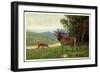 Künstler C. L. Freitag, Hirsch, Rehkitz Und Hirsch Am Waldrand-null-Framed Giclee Print