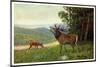 Künstler C. L. Freitag, Hirsch, Rehkitz Und Hirsch Am Waldrand-null-Mounted Giclee Print