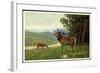 Künstler C. L. Freitag, Hirsch, Rehkitz Und Hirsch Am Waldrand-null-Framed Giclee Print