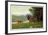 Künstler C. L. Freitag, Hirsch, Rehkitz Und Hirsch Am Waldrand-null-Framed Giclee Print