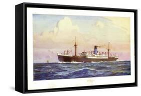 Künstler Dampfer Oceaan, Nederlandsche Stoomvaart-null-Framed Stretched Canvas