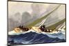 Künstler Haffner, L., Segelboote, Yachts, Wettrennen-null-Mounted Giclee Print
