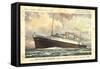 Künstler Hapag, T.S.S. Nieuw Amsterdam, Dampfschiff-null-Framed Stretched Canvas