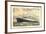 Künstler Hapag, T.S.S. Nieuw Amsterdam, Dampfschiff-null-Framed Giclee Print