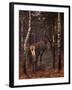 Künstler Hirsch Im Wald, Herbst-null-Framed Giclee Print