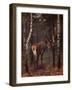 Künstler Hirsch Im Wald, Herbst-null-Framed Giclee Print