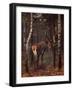 Künstler Hirsch Im Wald, Herbst-null-Framed Giclee Print