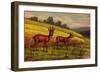 Künstler Hoy, W., Rehe Im Sommer, Zwei Rehe Am Weizenfeld-null-Framed Giclee Print