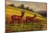 Künstler Hoy, W., Rehe Im Sommer, Zwei Rehe Am Weizenfeld-null-Mounted Giclee Print