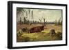 Künstler Müller, Großer Hisch Liegt Auf Der Wiese, Abgesägter Baumstumpf-null-Framed Giclee Print