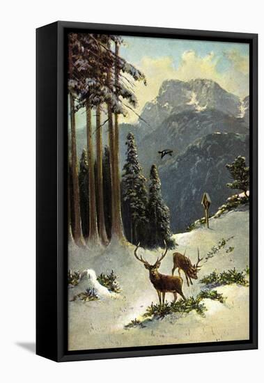 Künstler Müller, Hirsche Grasen Im Wald, Winter, Schnee, Wildgans-null-Framed Stretched Canvas