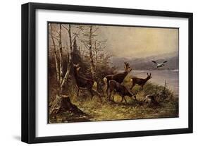 Künstler Serie 496, Wildherde Am Ufer Grasend-null-Framed Giclee Print