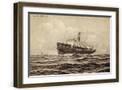 Brown Frame