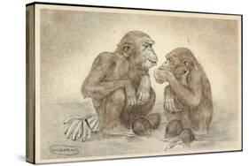 Künstler Swildens, Zwei Schimpansen Mit Kokosnüssen, Bananen-null-Stretched Canvas
