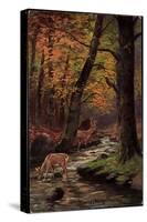 Künstler Waldidylle, Rehe Trinken Am Bach, Wald, Herbst, Laubfall-null-Stretched Canvas