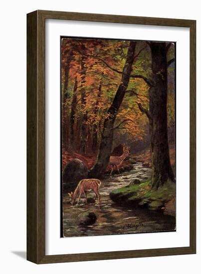 Künstler Waldidylle, Rehe Trinken Am Bach, Wald, Herbst, Laubfall-null-Framed Giclee Print