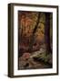 Künstler Waldidylle, Rehe Trinken Am Bach, Wald, Herbst, Laubfall-null-Framed Giclee Print