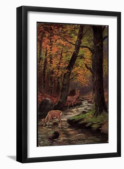 Künstler Waldidylle, Rehe Trinken Am Bach, Wald, Herbst, Laubfall-null-Framed Giclee Print