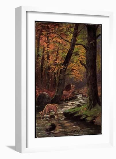 Künstler Waldidylle, Rehe Trinken Am Bach, Wald, Herbst, Laubfall-null-Framed Giclee Print