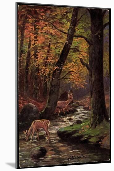 Künstler Waldidylle, Rehe Trinken Am Bach, Wald, Herbst, Laubfall-null-Mounted Giclee Print
