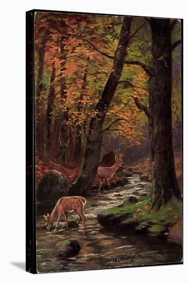 Künstler Waldidylle, Rehe Trinken Am Bach, Wald, Herbst, Laubfall-null-Stretched Canvas