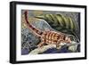 Kuhl's Flying Gecko (Ptychozoon Kuhli), Gekkonidae-null-Framed Giclee Print