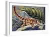 Kuhl's Flying Gecko (Ptychozoon Kuhli), Gekkonidae-null-Framed Giclee Print