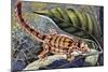 Kuhl's Flying Gecko (Ptychozoon Kuhli), Gekkonidae-null-Mounted Giclee Print