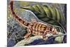 Kuhl's Flying Gecko (Ptychozoon Kuhli), Gekkonidae-null-Mounted Giclee Print