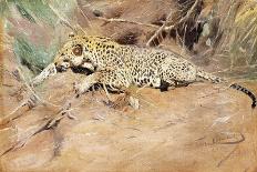 A Leopard-Kuhnert Wilhelm-Framed Stretched Canvas