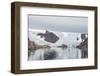 Kujatdeleq Glacier, Prins Christian Sund, southern Greenland, Polar Regions-Tony Waltham-Framed Photographic Print