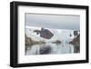 Kujatdeleq Glacier, Prins Christian Sund, southern Greenland, Polar Regions-Tony Waltham-Framed Photographic Print