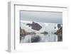 Kujatdeleq Glacier, Prins Christian Sund, southern Greenland, Polar Regions-Tony Waltham-Framed Photographic Print