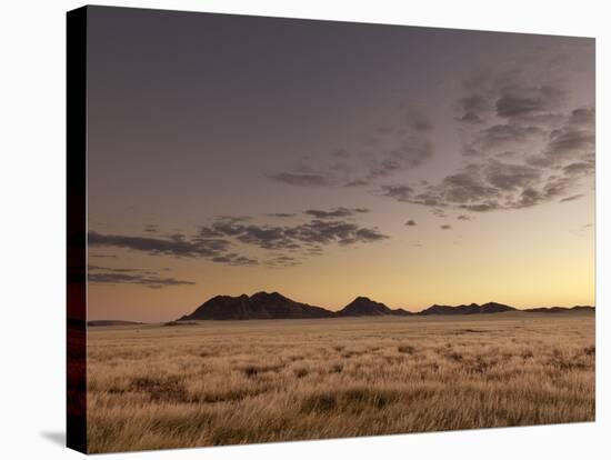 Kulala Wilderness Reserve, Namib Desert, Namibia, Africa-Sergio Pitamitz-Stretched Canvas