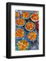 Kulat Local Mushrooms-Nico Tondini-Framed Photographic Print