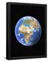 Essential Black