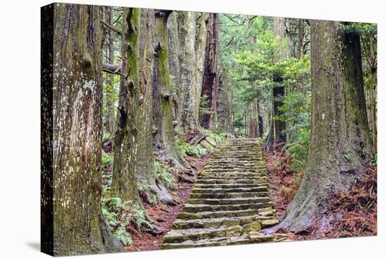 Kumano Kodo at Daimon-Zaka, a Sacred Trail Designated as a UNESCO World Heritage Site in Nachi, Wak-SeanPavonePhoto-Stretched Canvas