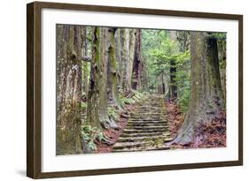 Kumano Kodo at Daimon-Zaka, a Sacred Trail Designated as a UNESCO World Heritage Site in Nachi, Wak-SeanPavonePhoto-Framed Photographic Print