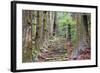 Kumano Kodo at Daimon-Zaka, a Sacred Trail Designated as a UNESCO World Heritage Site in Nachi, Wak-SeanPavonePhoto-Framed Photographic Print