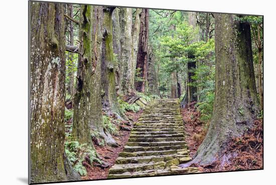 Kumano Kodo at Daimon-Zaka, a Sacred Trail Designated as a UNESCO World Heritage Site in Nachi, Wak-SeanPavonePhoto-Mounted Photographic Print