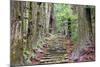 Kumano Kodo at Daimon-Zaka, a Sacred Trail Designated as a UNESCO World Heritage Site in Nachi, Wak-SeanPavonePhoto-Mounted Photographic Print
