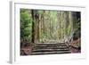 Kumano Kodo at Daimon-Zaka, a Sacred Trail Designated as a UNESCO World Heritage Site in Nachi, Wak-SeanPavonePhoto-Framed Photographic Print