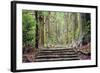 Kumano Kodo at Daimon-Zaka, a Sacred Trail Designated as a UNESCO World Heritage Site in Nachi, Wak-SeanPavonePhoto-Framed Photographic Print