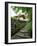 Kumano Pilgrim Road-null-Framed Premium Photographic Print