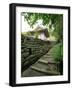 Kumano Pilgrim Road-null-Framed Premium Photographic Print